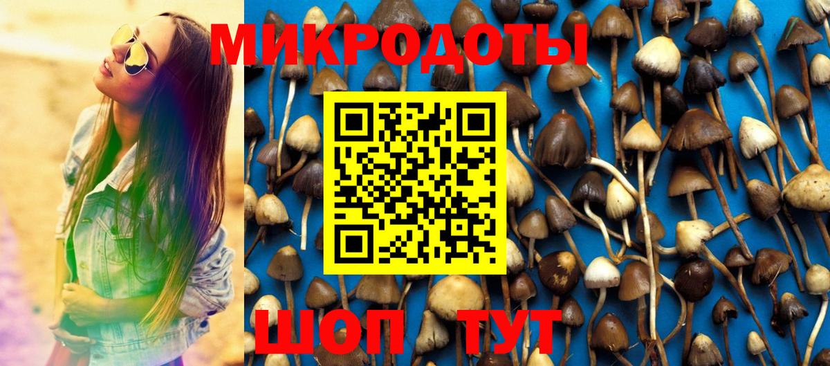 Псилоцибиновые грибы GOLDEN TEACHER Алексеевка