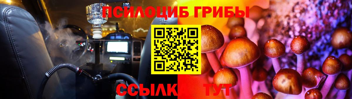 Алексеевка  Псилоцибиновые грибы ЛСД  Вход с VPN  Псилоцибиновые грибы Psilocybine cubensis 